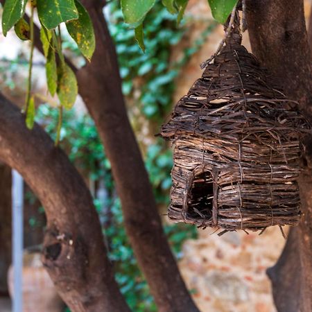 Hostal Can Xicu Capmany Zewnętrze zdjęcie